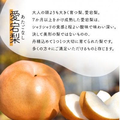 【きよとうファーム】あたご梨&ル・レクチェ ご家庭用/約4kg(岡山県産)