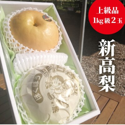【きよとうファーム】新高梨 1kg級2玉入(岡山県産)