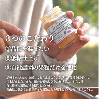 【期間限定】果樹園こだわりの果実ジャム2種入り 計220g(岡山県産)【きよとうファーム】