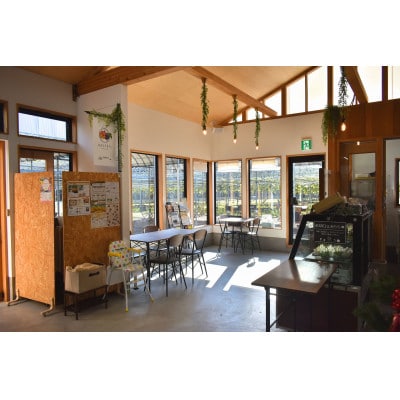 【きよとうファーム】フルーツたっぷりのパウンドケーキ1本(岡山県産)