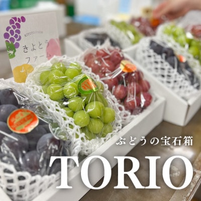 【きよとうファーム】葡萄の宝石箱トリオ(シャインマスカット入り3品種詰合せ)(岡山県産)