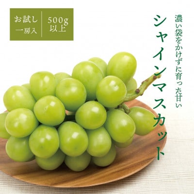 【924】こだわりのシャインマスカット ご家庭用/1房500g～(岡山県産)