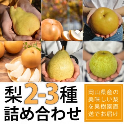 【きよとうファーム】梨好きのための、梨2-3品種食べ比べ ご家庭用 5-7玉(岡山県産)
