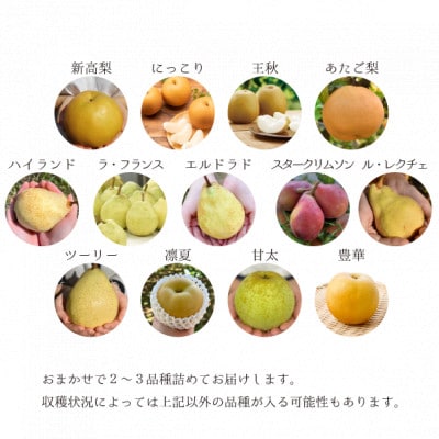 【きよとうファーム】梨好きのための、梨2-3品種食べ比べ ご家庭用 5-7玉(岡山県産)