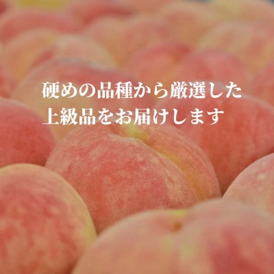 【きよとうファーム】「硬めの桃好きさん」におすすめ! 硬め桃 上級品 5-7玉(岡山県産)