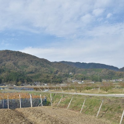【きよとうファーム】薫り高い黒ぶどう「黒いアルファ」のロゼワイン「BLACK DAWN」(岡山県産)