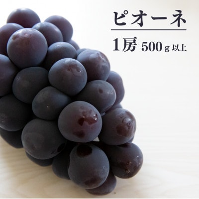 【きよとうファーム】【お試し便】ピオーネ1房/500g～(岡山県産)