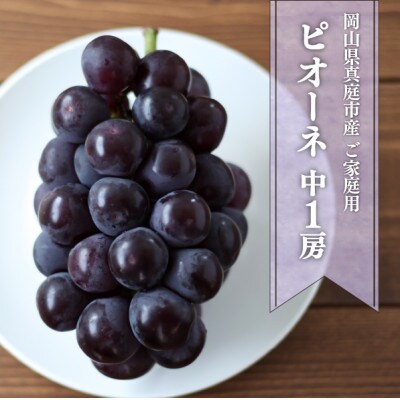 【924】ピオーネ ご家庭用 1房500g～(岡山県産)