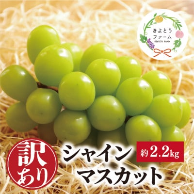 【訳あり】シャインマスカット ご家庭用/約2.2kg (岡山県産) 食べ応え満足便!