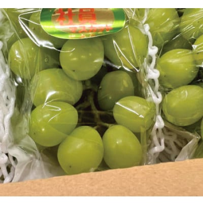 【きよとうファーム】 【訳あり】 シャインマスカット ご家庭用/約2.4kg(岡山県産)