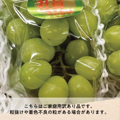 2026年先行予約】訳あり シャインマスカット ご家庭用/約2.2kg(岡山県