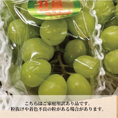 【訳あり】シャインマスカット ご家庭用/約2.2kg (岡山県産) 食べ応え満足便!
