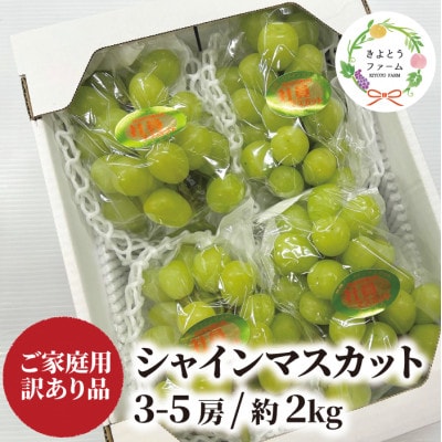 【2026年先行予約】 訳あり シャインマスカット ご家庭用/約2.0kg～(岡山県産)