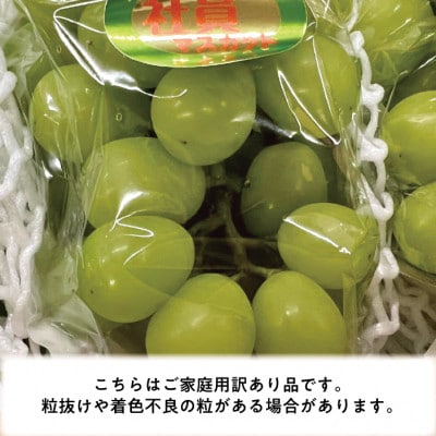 【2026年先行予約】 訳あり シャインマスカット ご家庭用/約2.0kg～(岡山県産)