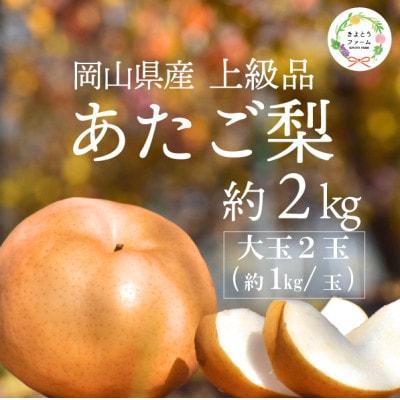 【2025年発送】あたご梨 上級品 2玉入(1kg級/玉)(岡山県産)  お歳暮やギフトに 冬限定