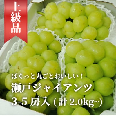 2026年発送! 瀬戸ジャイアンツ(丸ごとぱっくん) 上級品3-5房入/計2kg～(岡山県産)