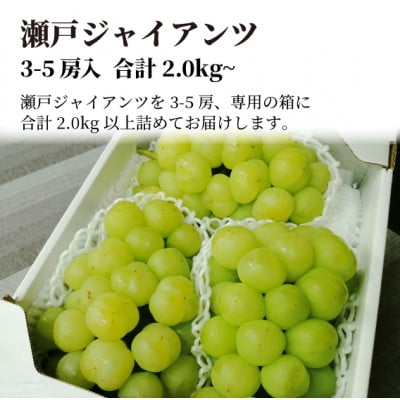2026年発送! 瀬戸ジャイアンツ(丸ごとぱっくん) 上級品3-5房入/計2kg～(岡山県産)