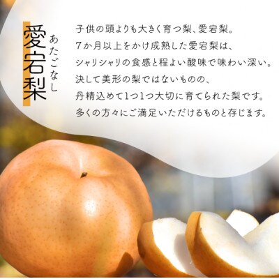 【きよとうファーム】あたご梨 上級品 2玉入(1.2kg級/玉)(岡山県産)
