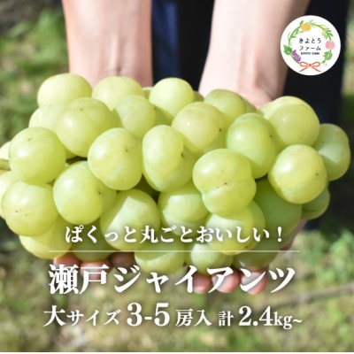 【きよとうファーム】瀬戸ジャイアンツ!大3-5房 計2.4kg～ (岡山県産)
