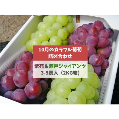 【きよとうファーム】紫苑&瀬戸ジャイアンツ 3-5房/計2kg～(岡山県産)