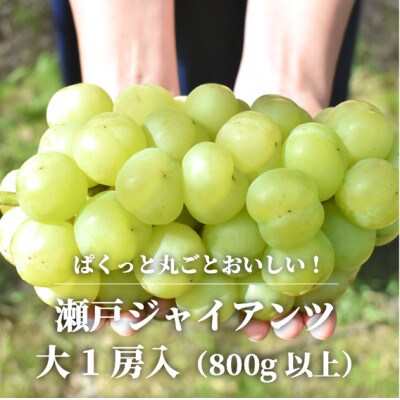 【きよとうファーム】瀬戸ジャイアンツ　大サイズ1房 /800g以上(岡山県産)