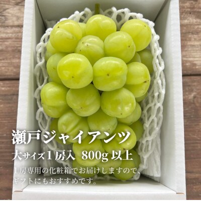 【きよとうファーム】瀬戸ジャイアンツ　大サイズ1房 /800g以上(岡山県産)