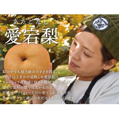 【きよとうファーム】果樹園の詰め合せ シャインマスカット&あたご梨&果実ジャム3種(岡山県産)