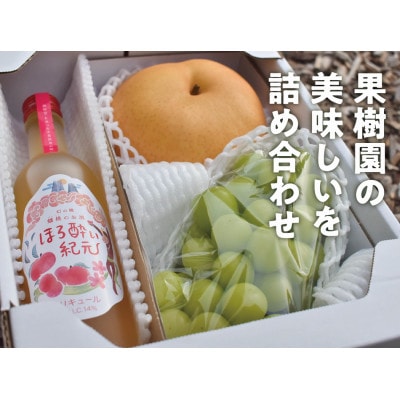 【きよとうファーム】果樹園の詰め合せ シャインマスカット&あたご梨&蟠桃リキュール(岡山県産)