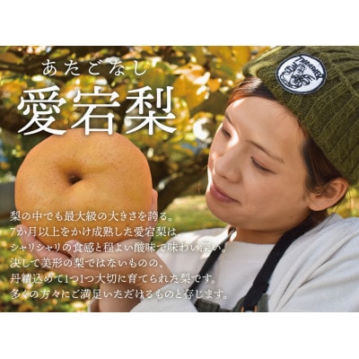 【きよとうファーム】果樹園の詰め合せ シャインマスカット&あたご梨&蟠桃リキュール(岡山県産)
