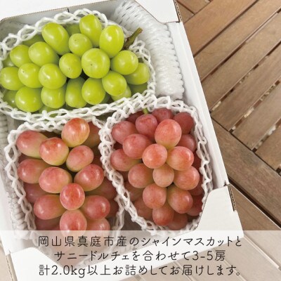 岡山県産 きよとう葡萄の最終便! シャインマスカット&サニードルチェ 上級品3-5房入/計2.0kg