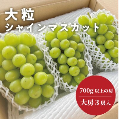 【きよとうファーム】大粒で大房のシャインマスカット 大サイズ3房入 各700g～(岡山県産)