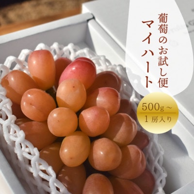 【きよとうファーム】希少品種のお試し便!「マイハート」 1房500g～(岡山県産)
