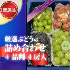 岡山県産[厳選品]ぶどう4品種4房リズムボックス