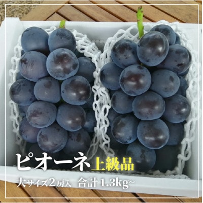 【きよとうファーム】【上級品】ピオーネ 大2房入/計1.3kg～(岡山県産)