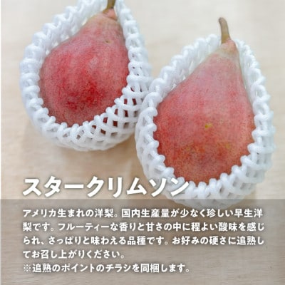 【きよとうファーム】希少品種の洋梨!スタークリムソンペア ご家庭用 5-8玉(岡山県産)