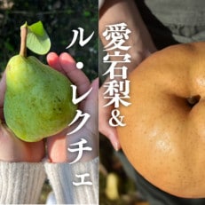 岡山県産 あたご梨&amp;ル・レクチェ ご家庭用 5-7玉入