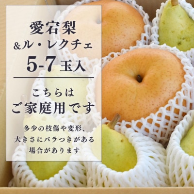 【きよとうファーム】あたご梨&ル・レクチェ ご家庭用 5-7玉入(岡山県産)