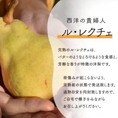 【きよとうファーム】あたご梨&ル・レクチェ ご家庭用 5-7玉入(岡山県産)