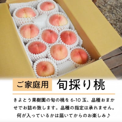 【きよとうファーム】旬採り桃 ご家庭用 6-10玉(岡山県産)