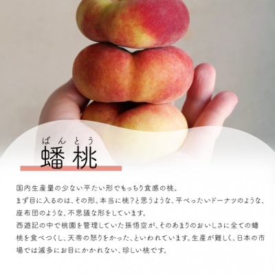 【きよとうファーム】【希少品種】珍しい平たい桃、蟠桃(ばんとう)の上級品 8玉前後(岡山県産)