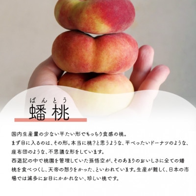 【きよとうファーム】【希少品種】珍しい平たい桃、蟠桃(ばんとう)の上級品 6-8玉入(岡山県産)