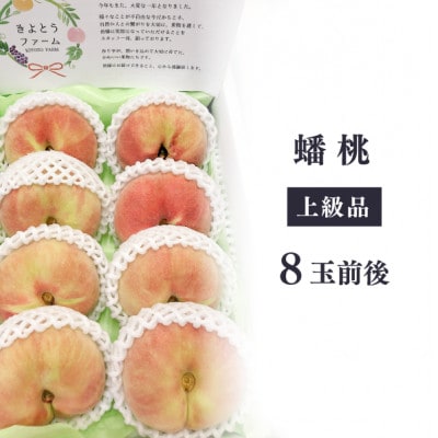【きよとうファーム】【希少品種】珍しい平たい桃、蟠桃(ばんとう)の上級品 8玉前後(岡山県産)