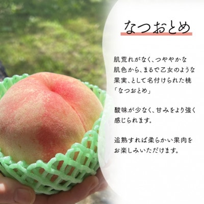 【きよとうファーム】乙女のような可愛い甘い桃「なつおとめ」上級品 5-7玉入(岡山県産)