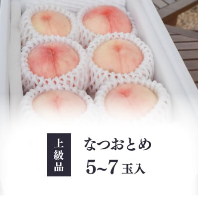 【きよとうファーム】乙女のような可愛い甘い桃「なつおとめ」上級品 5-7玉入(岡山県産)