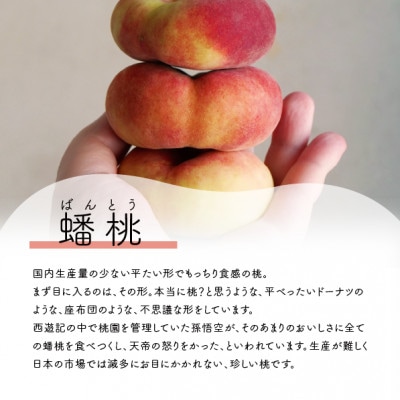 【きよとうファーム】【希少品種】平べったい形の蟠桃、訳あり 家庭用 詰め合せ 6-8玉入(岡山県産)