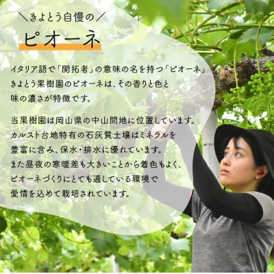 【924】ピオーネ 3-5房入/計2kg～(岡山県産)