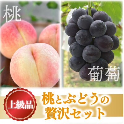 【きよとうファーム】【期間限定】旬採り桃3玉&人気の黒葡萄が同時に届く満足 上級品セット(岡山県産)