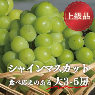 【きよとうファーム】シャインマスカット 上級品 大3-5房/計2.4kg～(岡山県産)