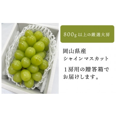 【きよとうファーム】【数量限定】大粒シャインマスカット厳選品1房 /800g以上(岡山県産)
