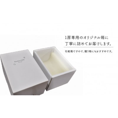 【きよとうファーム】【数量限定】大粒シャインマスカット厳選品1房 /800g以上(岡山県産)
